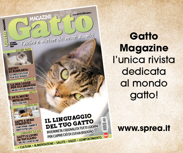 Gatto Magazine