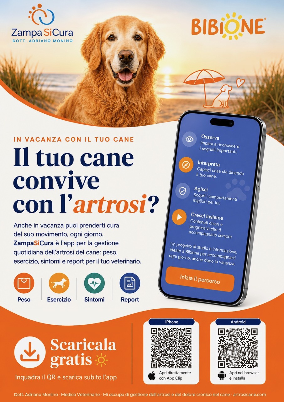 Vai in vacanza e previeni l'artrosi nel cane con ZAMPAsicura