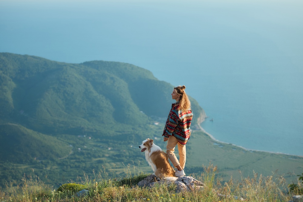 Mare o montagna? Come scegliere la vacanza giusta per il proprio cane