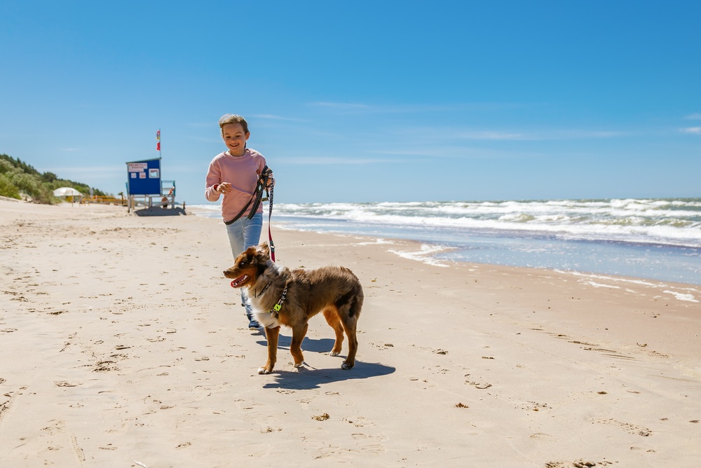 Spiaggia con il cane: galateo per una giornata senza stress