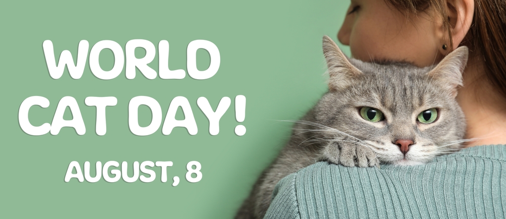 Giornata Mondiale del Gatto: perché si festeggia l'8 agosto