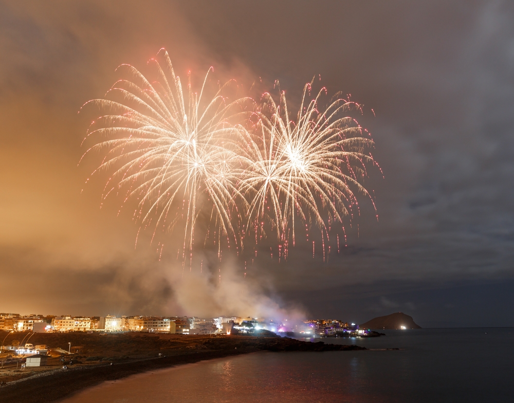 Fuochi d'artificio e feste estive: come proteggere gli animali dalla paura