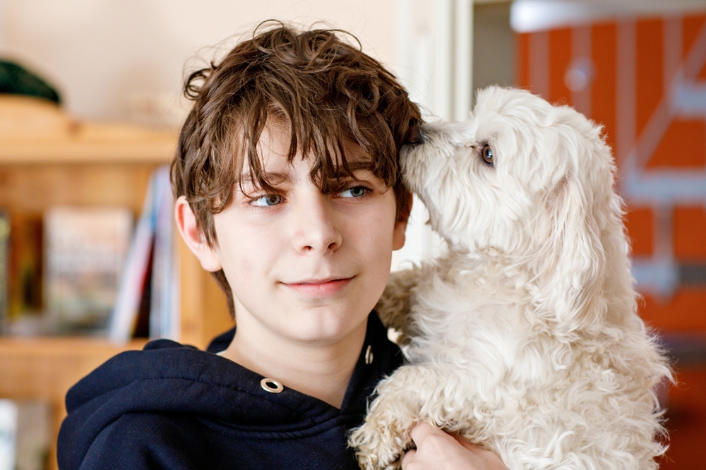 Il cane aiuta gli adolescenti con ansia sociale