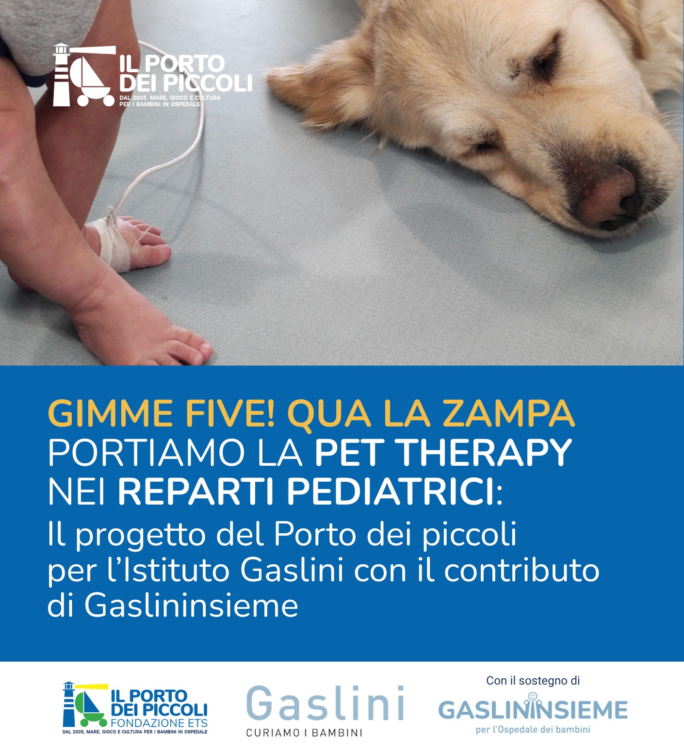 GIMME FIVE! – Qua la zampa al Premio fedeltà del cane