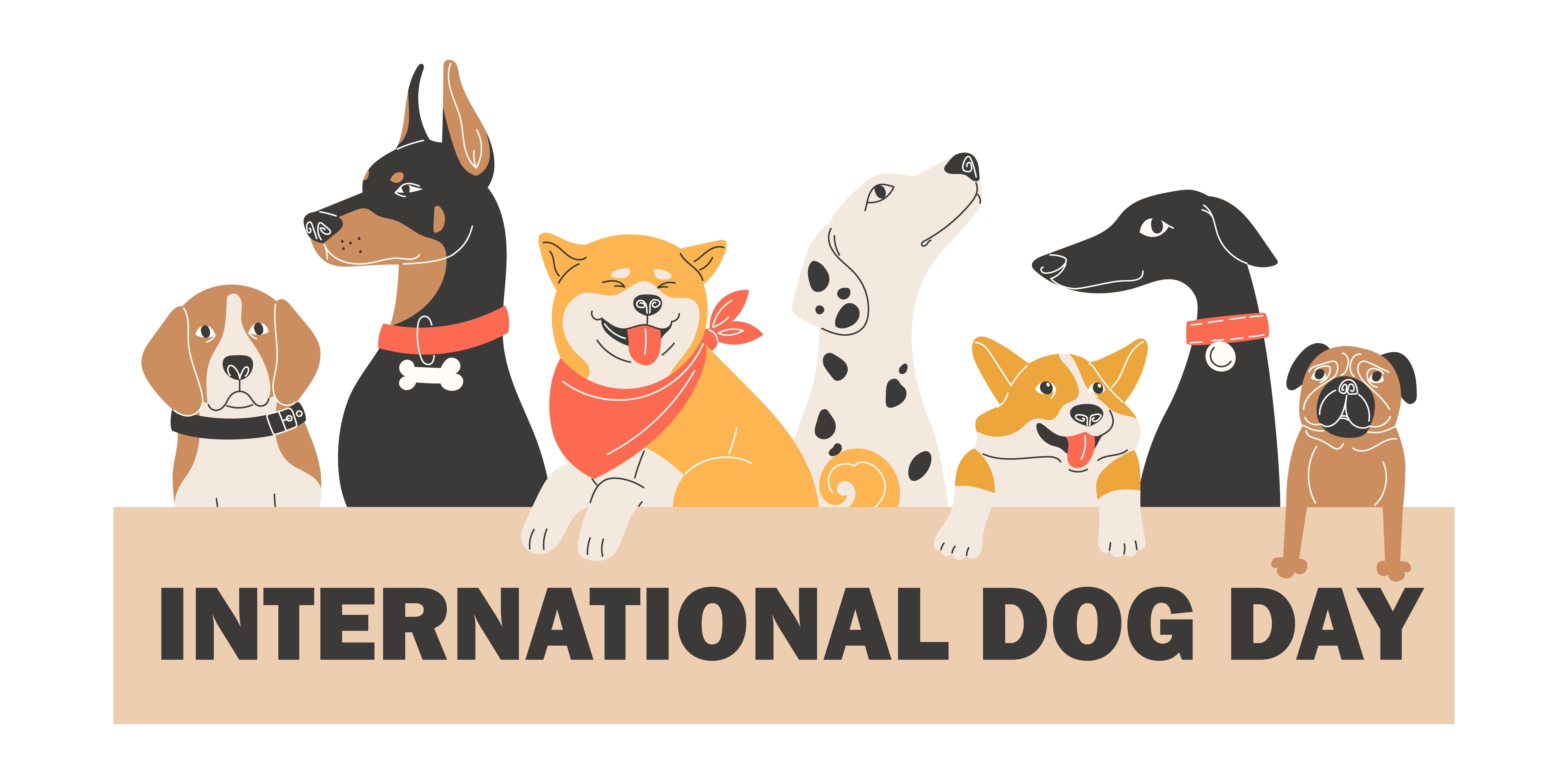Giornata Mondiale del Cane: da Argo, il cane di Ulisse,  al patentino, cosa dovrebbe cambiare in un legame che dura da millenni