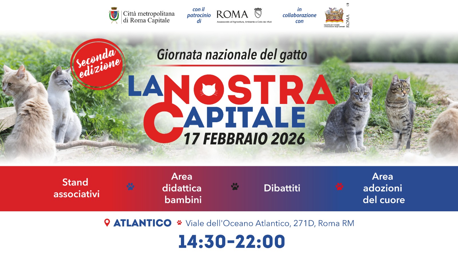Festa del Gatto 2026 Roma in streaming: rivedi “La Nostra Capitale”