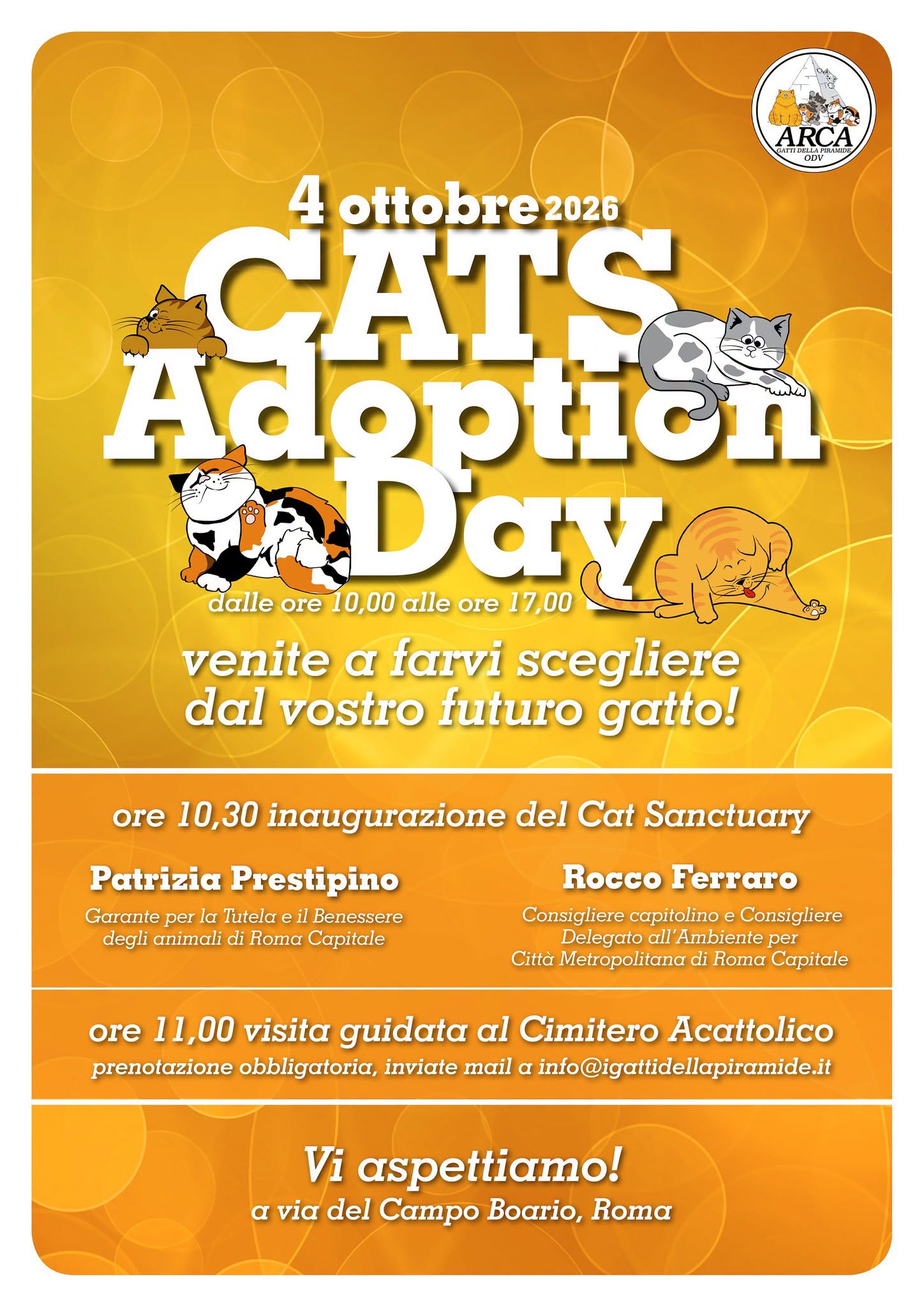 Cat Adoption Day, 4 ottobre dalle 10 alle 17