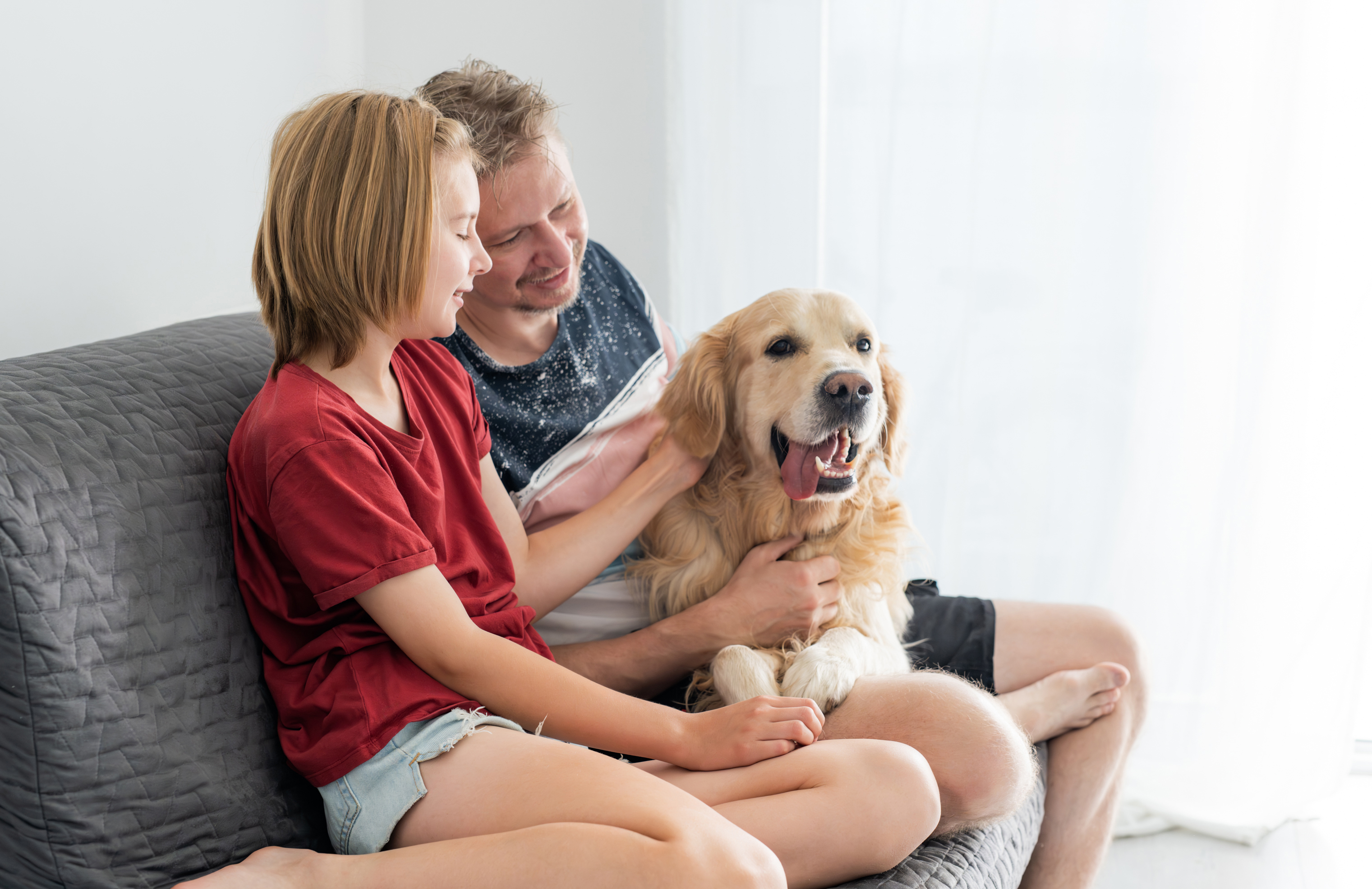 Adozione responsabile dei pet 