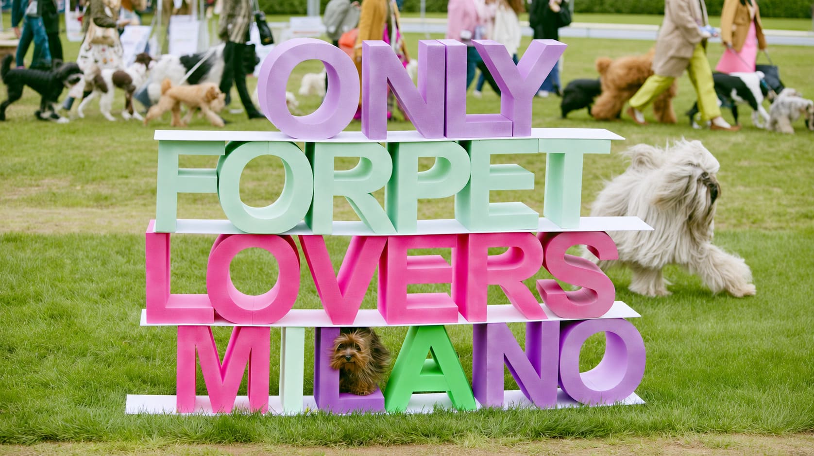 Only  For  Pet  Lovers, quarta edizione