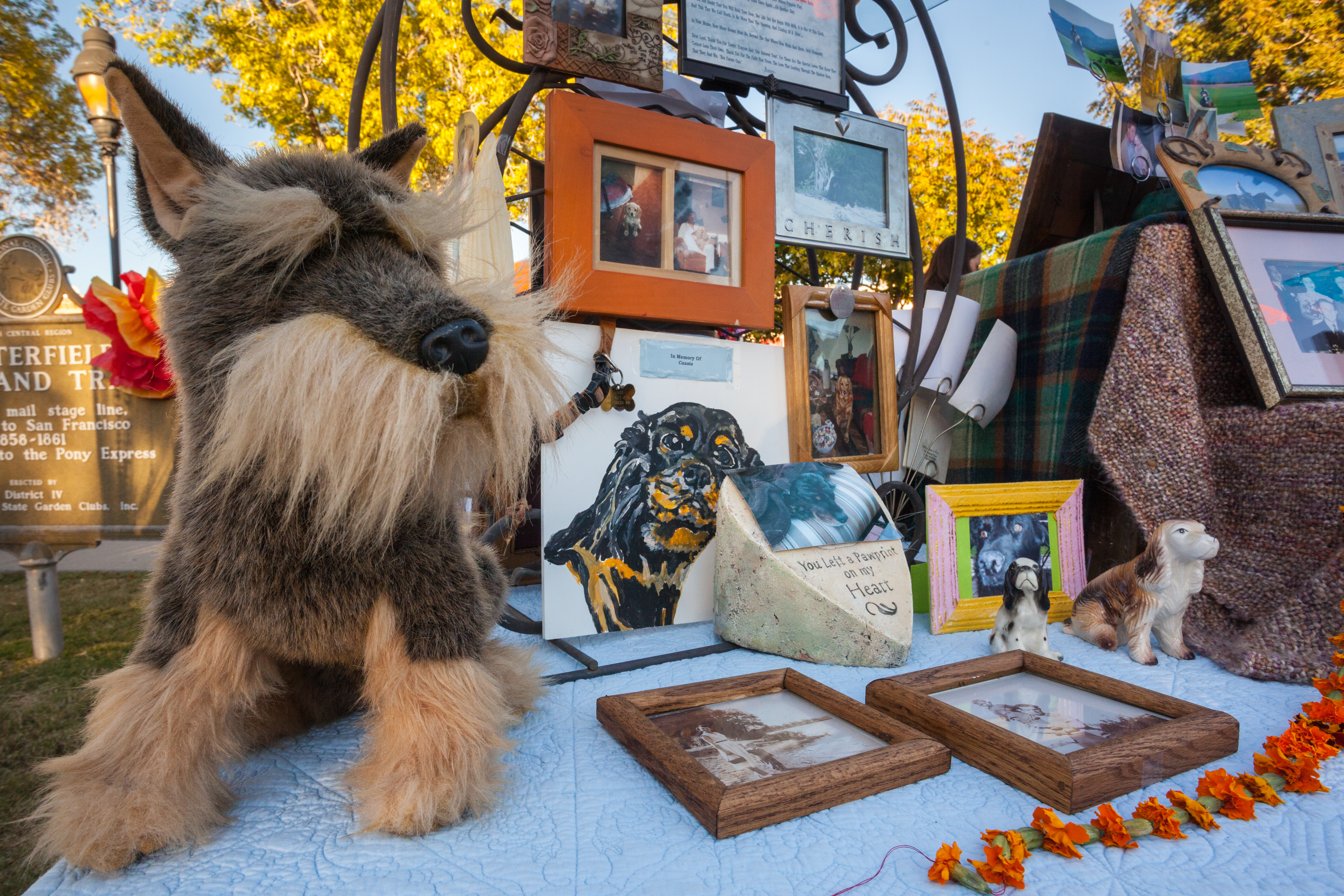 Il Día de Muertos degli animali