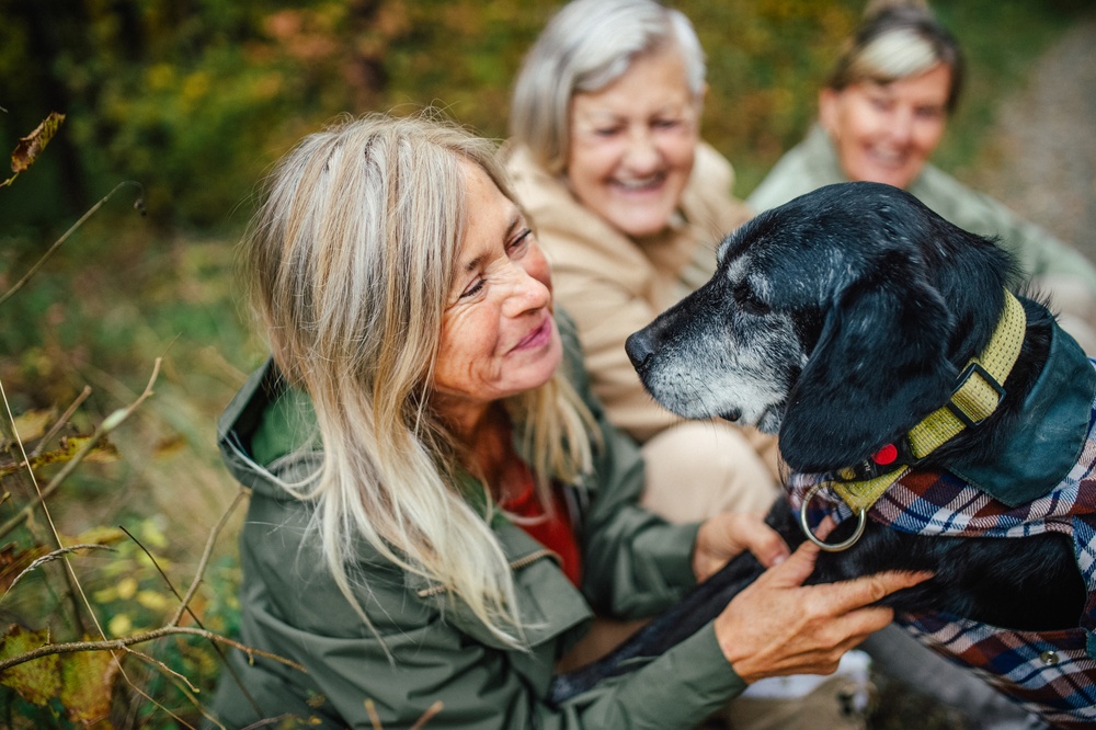 Perché i cani grandi invecchiano prima