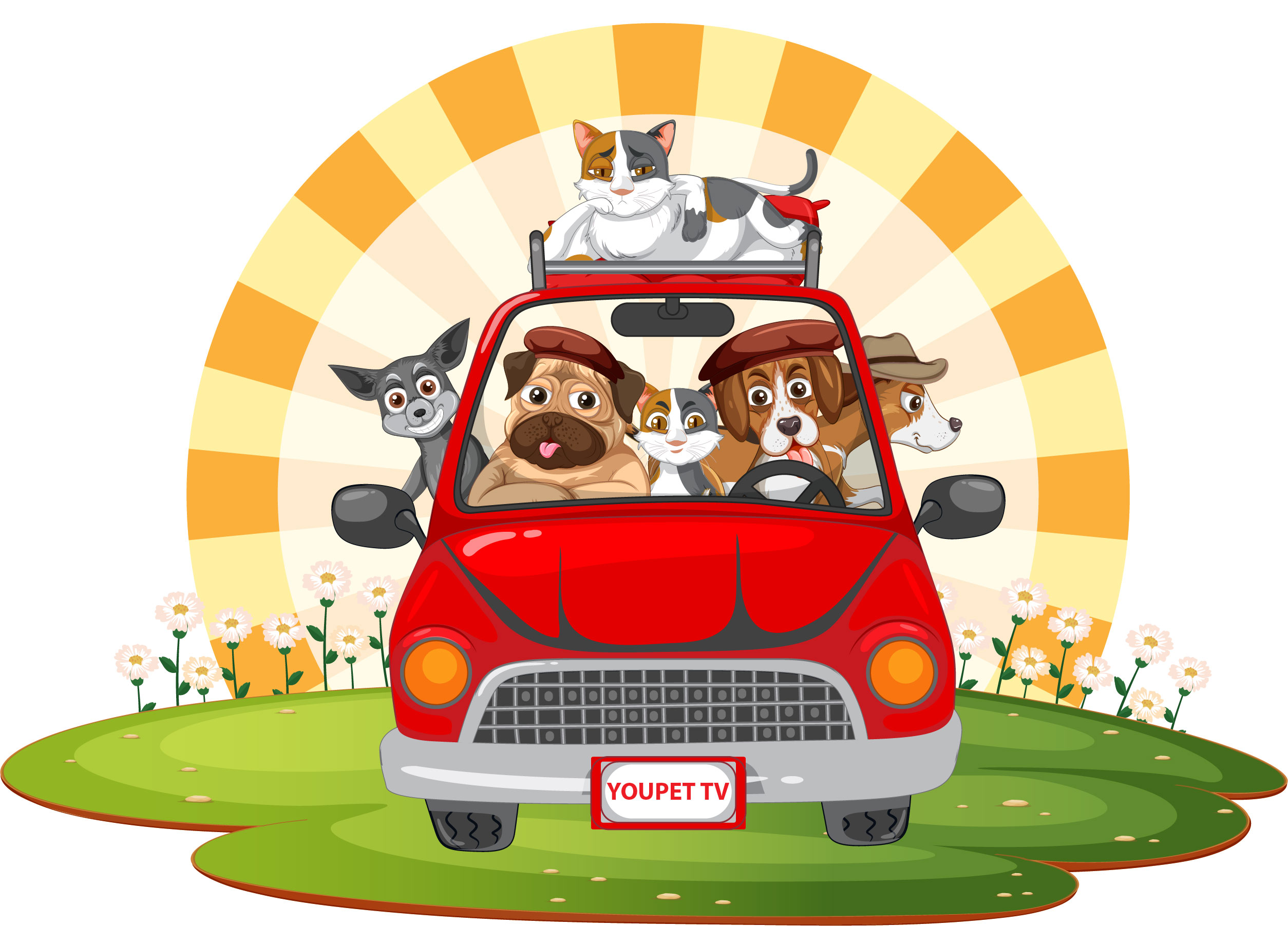 Cani e gatti in auto: cintura o trasportino obbligatori?