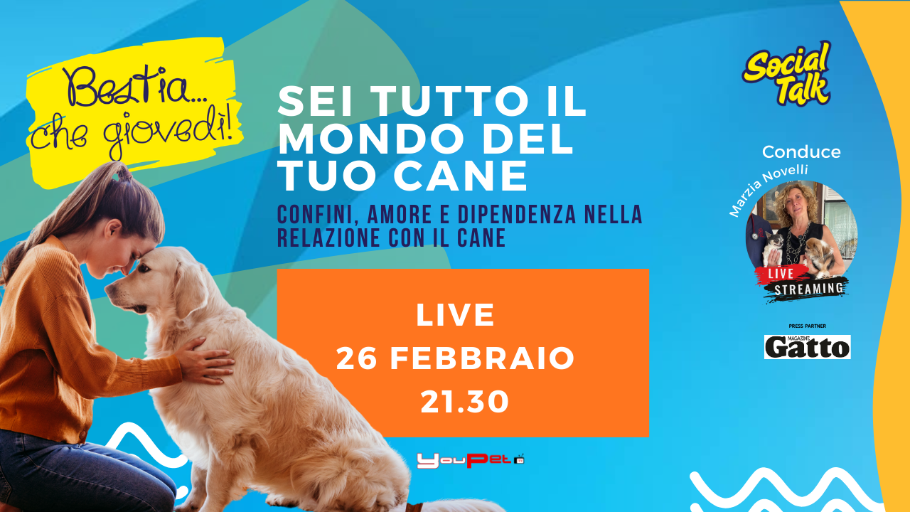 Sei “tutto il mondo” del tuo cane? 