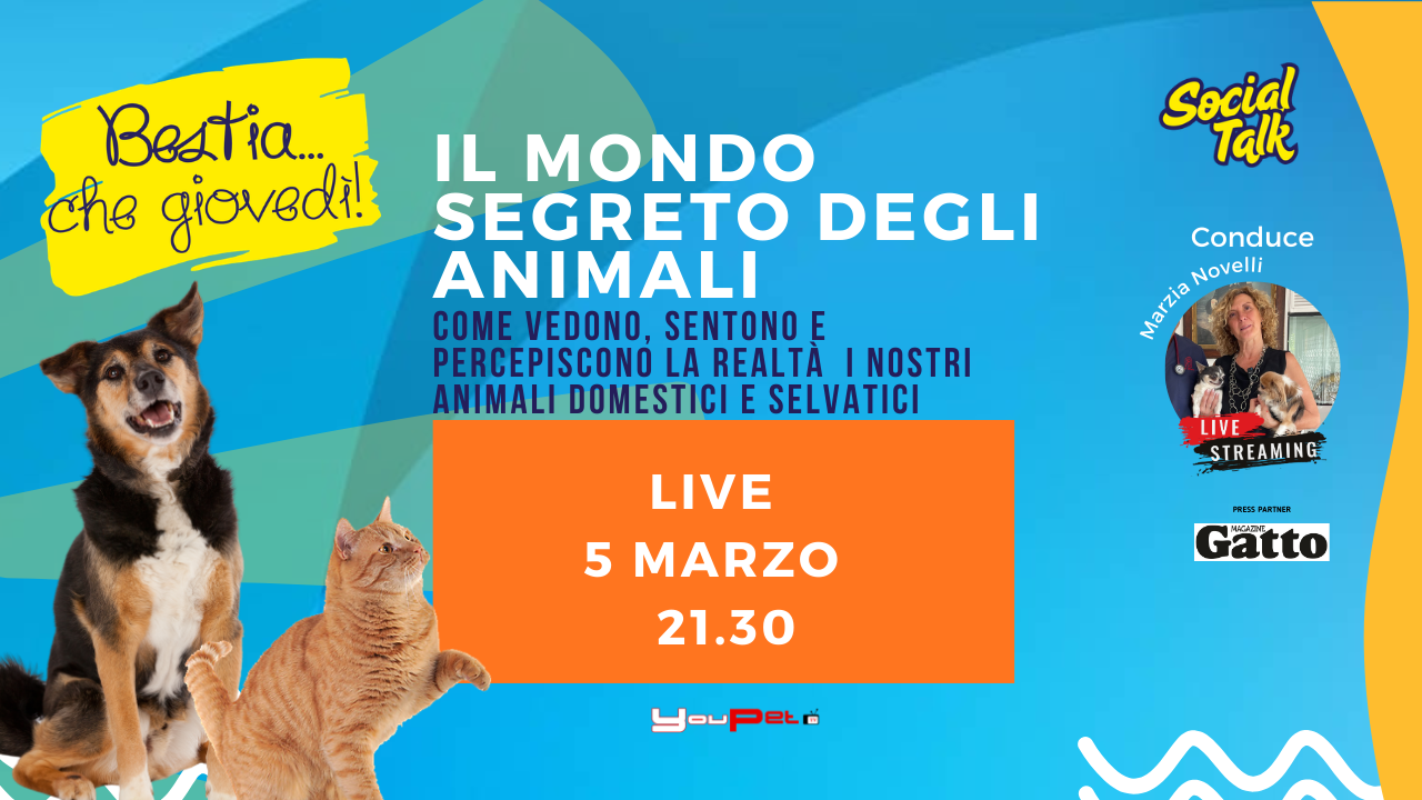 Il Mondo Parallelo: 5 Segreti dei Sensi Animali 