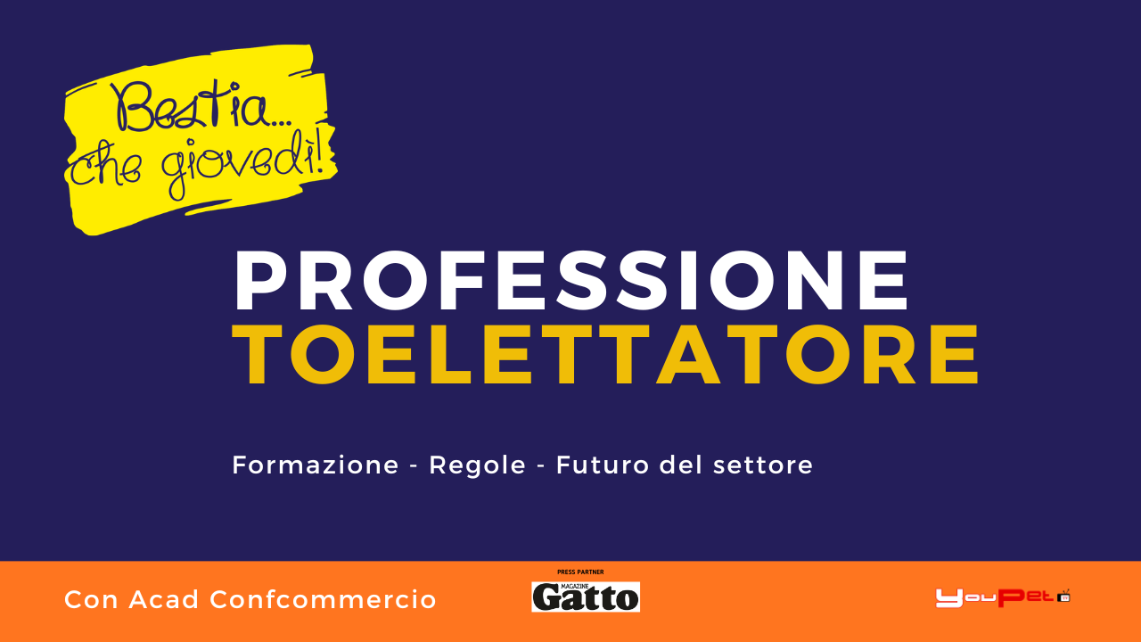 Professione Toelettatore: formazione, regole e futuro del settore, con ACAD e Bestia che Giovedì!