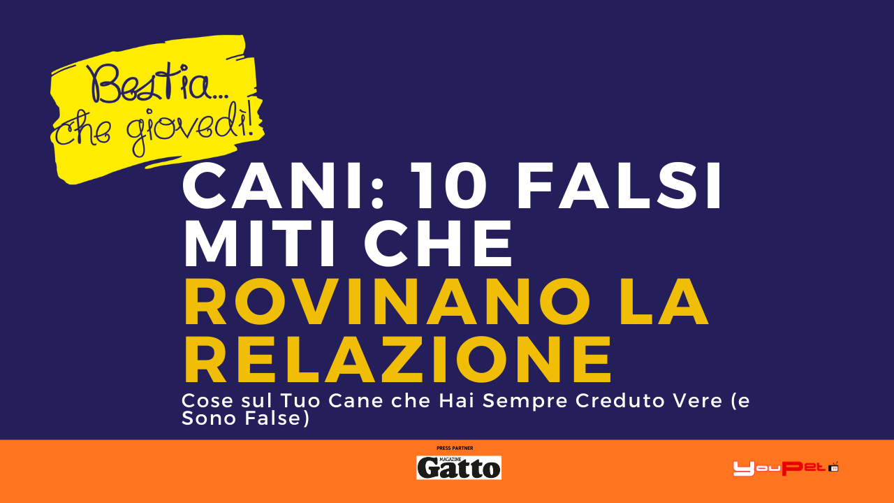 10 cose che credi sui cani e sono completamente false: i falsi miti da sfatare subito