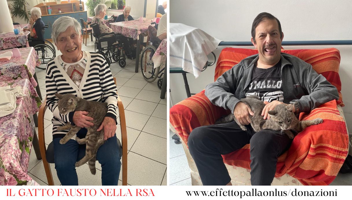 Cani e Gatti che Lavorano: Pet Therapy, Soccorso in Acqua e Sport Cinofili  