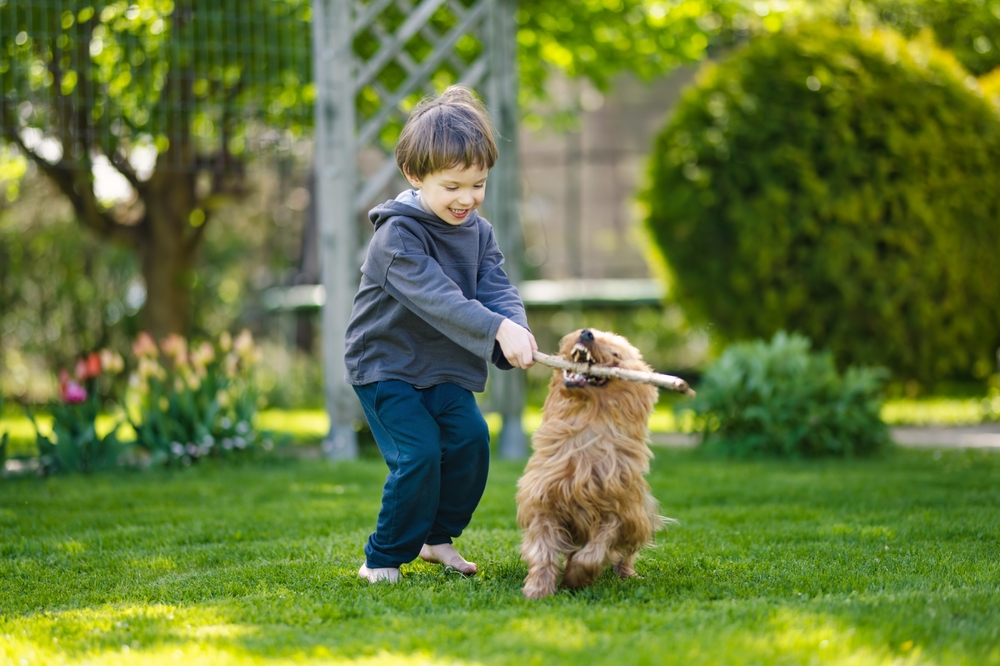 Bambini e cani: le regole fondamentali per vivere insieme