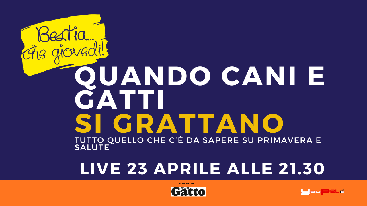 Cane e gatto si grattano in primavera? Allergie, parassiti e cosa fare davvero