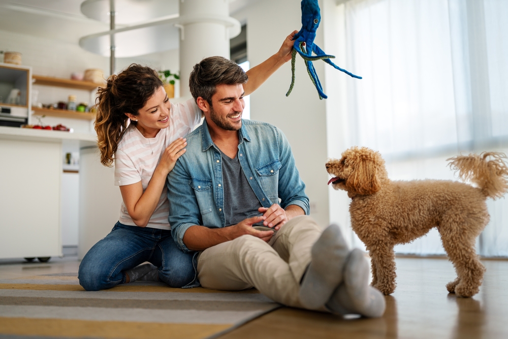 Cani in famiglia: perche mordono, come convivono con i bambini e cosa serve sapere prima