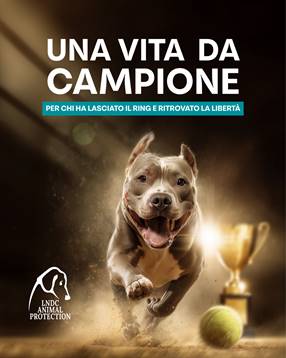 Una vita da campione  