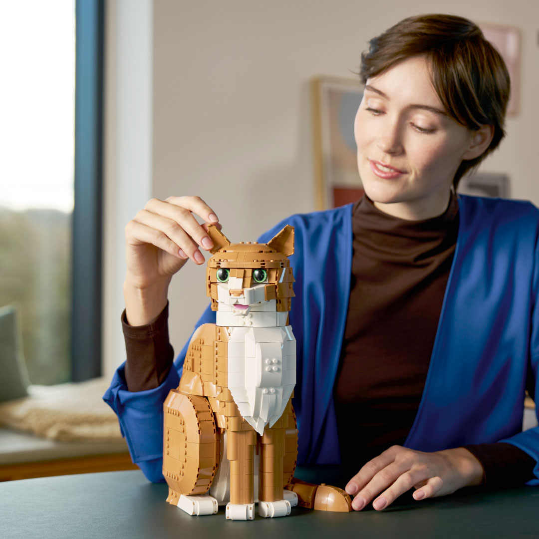 LEGO? Orange cat!