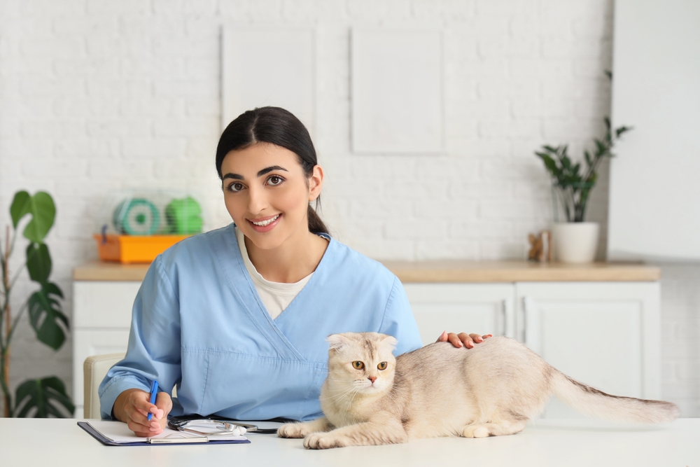 CBD per cani e gatti: cosa funziona davvero (e come non farti truffare)