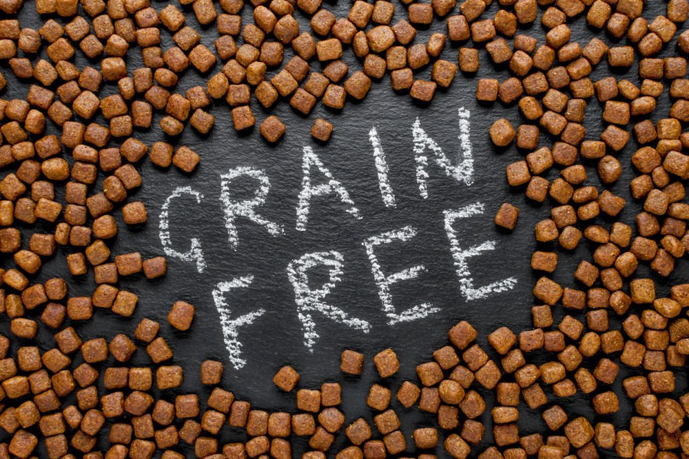 Alimenti grain free per cani: pro e contro s