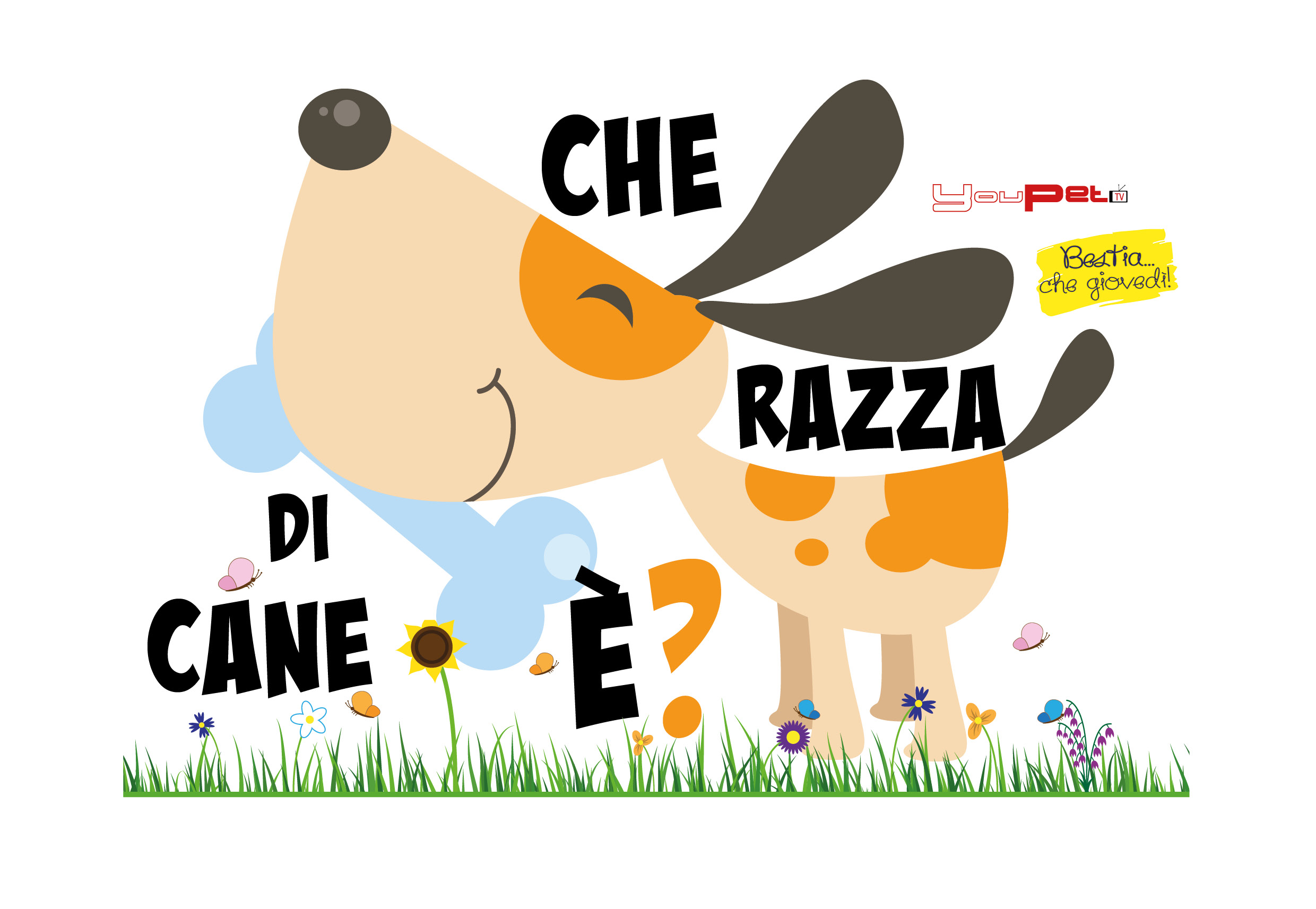 Che razza di cane è